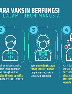 Cara Vaksin Berfungsi Di Dalam Tubuh Manusia